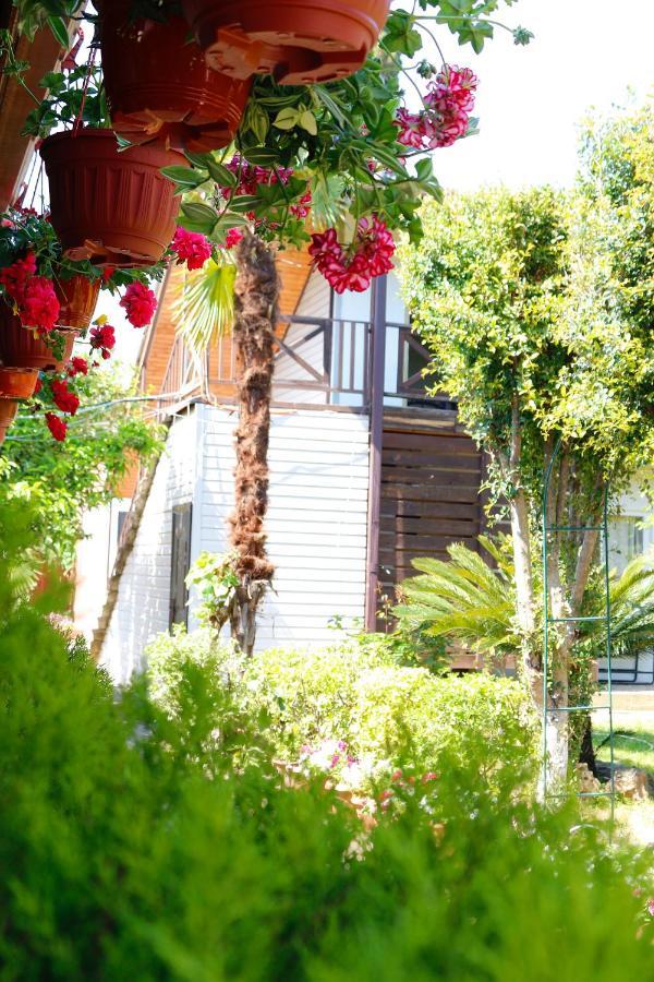 Guest House Alashara Піцунда Екстер'єр фото