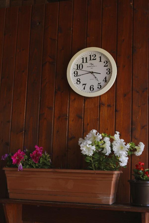 Guest House Alashara Піцунда Екстер'єр фото