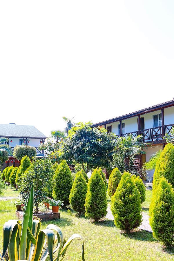Guest House Alashara Піцунда Екстер'єр фото