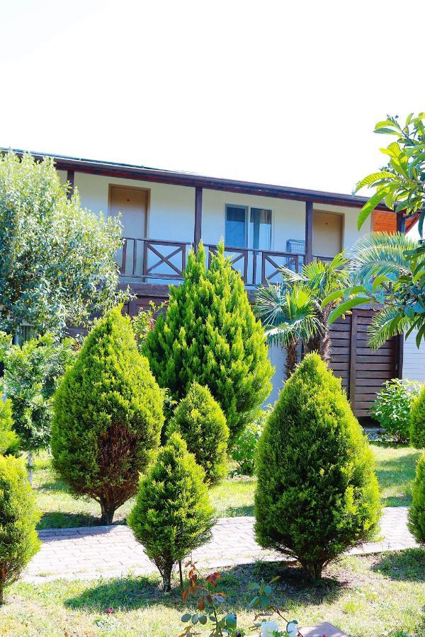 Guest House Alashara Піцунда Екстер'єр фото