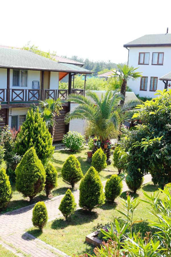 Guest House Alashara Піцунда Екстер'єр фото